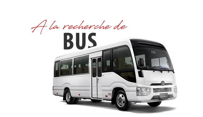 Stock Bus, Transport de personne, Minibus et Mini-bus export Afrique meilleurs prix