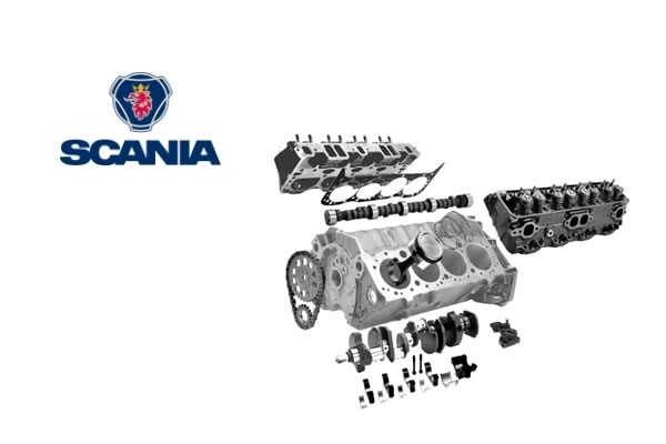 336590  DT Spare Parts 1.22047 Dichtungsgummi für SCANIA - LKW