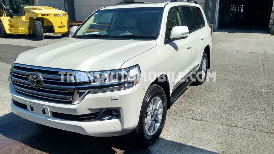 V8 options turbo trading